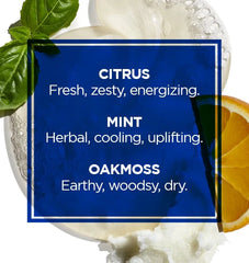 All-Over Wash for Face, Hair & Body